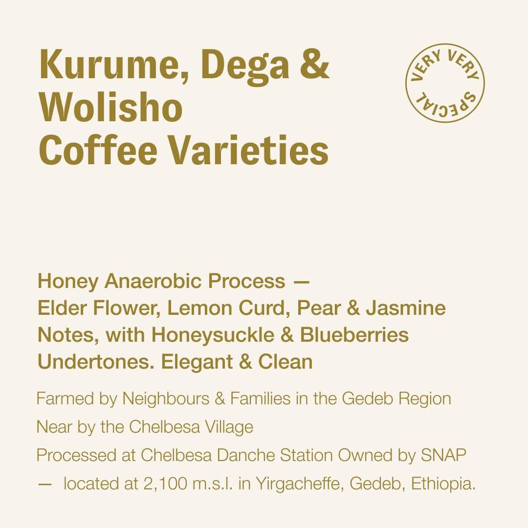 Kurume, Dega & Wolisho Coffee Varieties, Yirgacheffe, Gedeb, Ethiopia