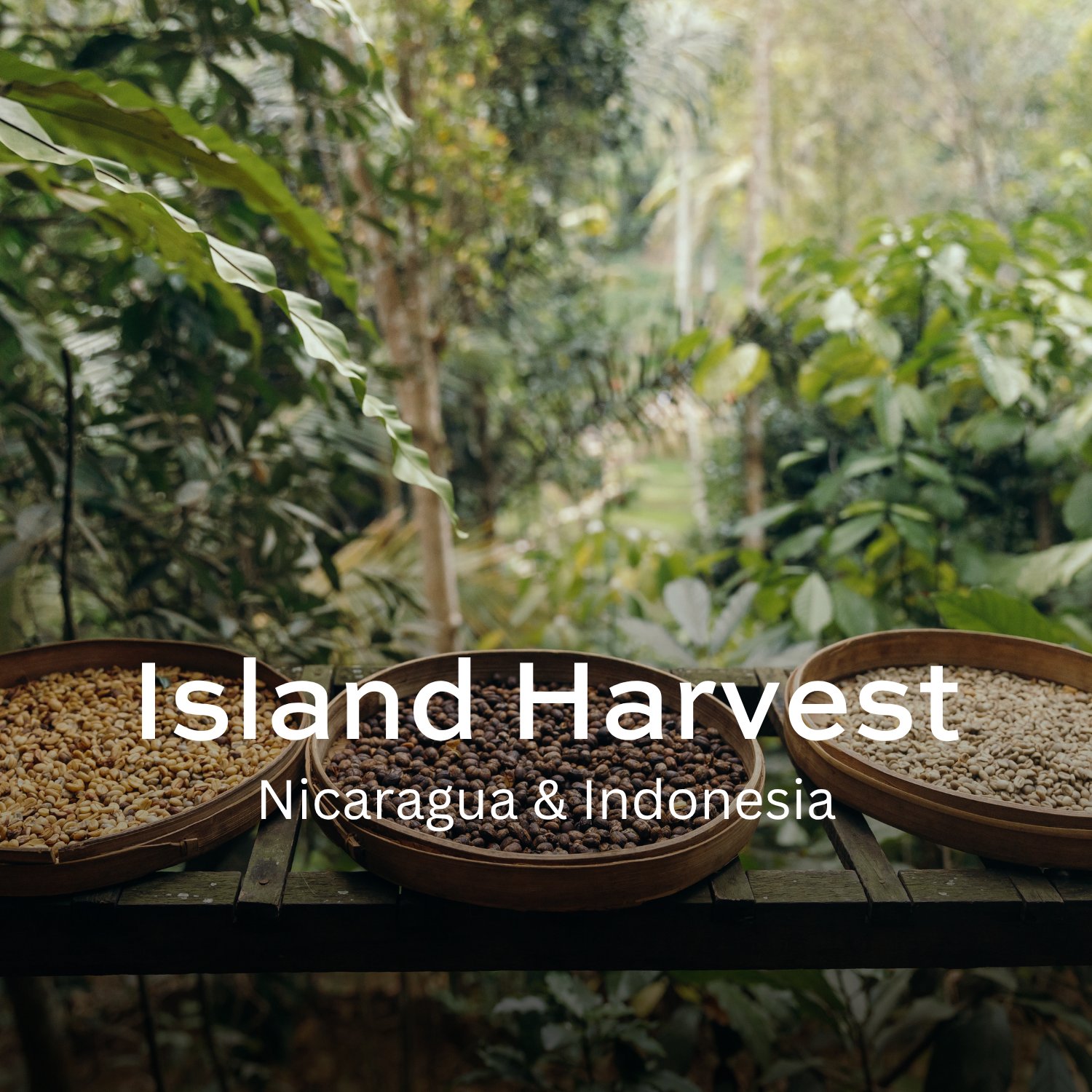 Island Harvest