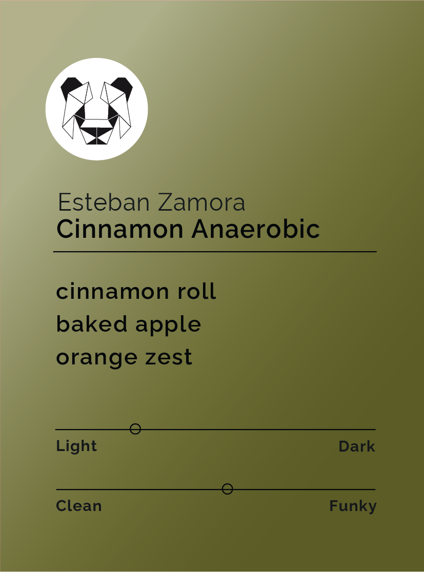 Esteban Zamora - Cinnamon Anaerobic