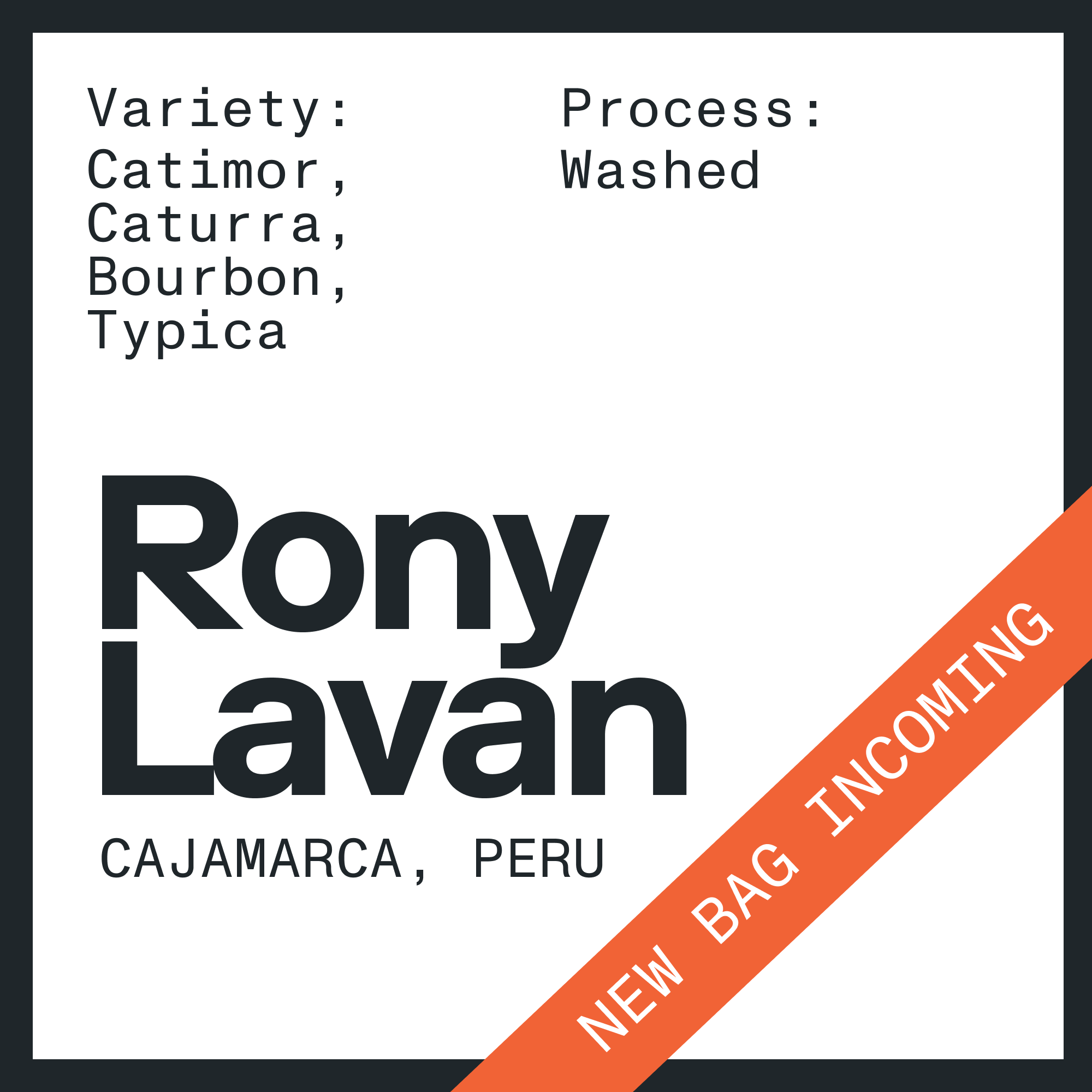 Rony Lavan