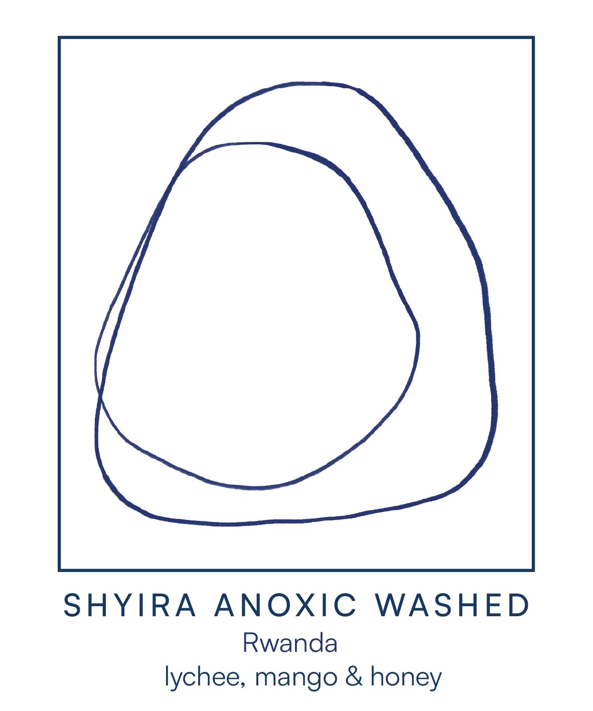 SHYIRA ANOXIC WASHED