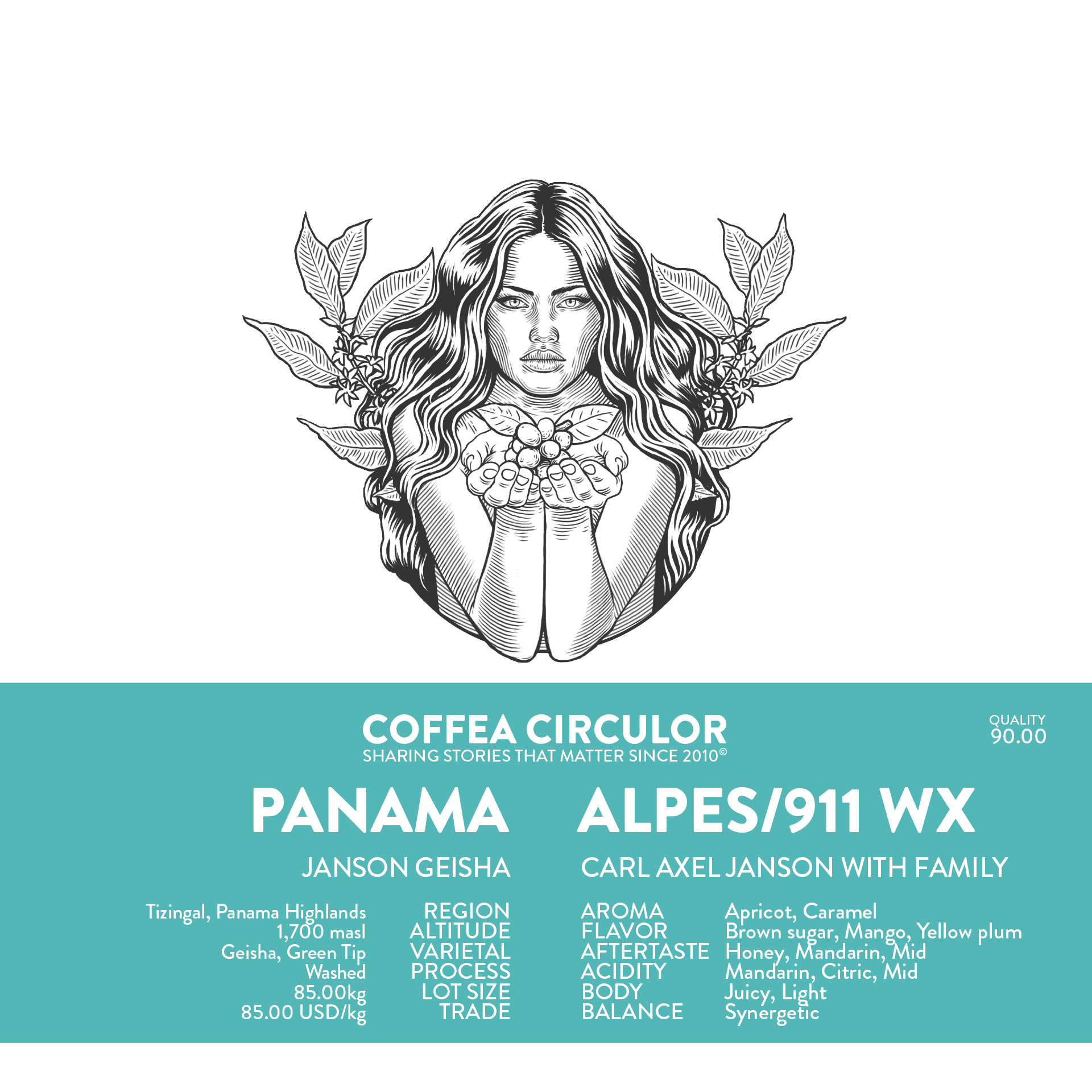 PANAMA Janson Geisha Alpes /911 Washed WX