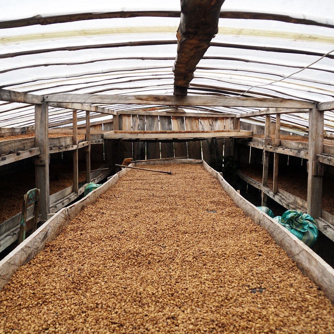 Colombia - Aponte - Blackberry Honey