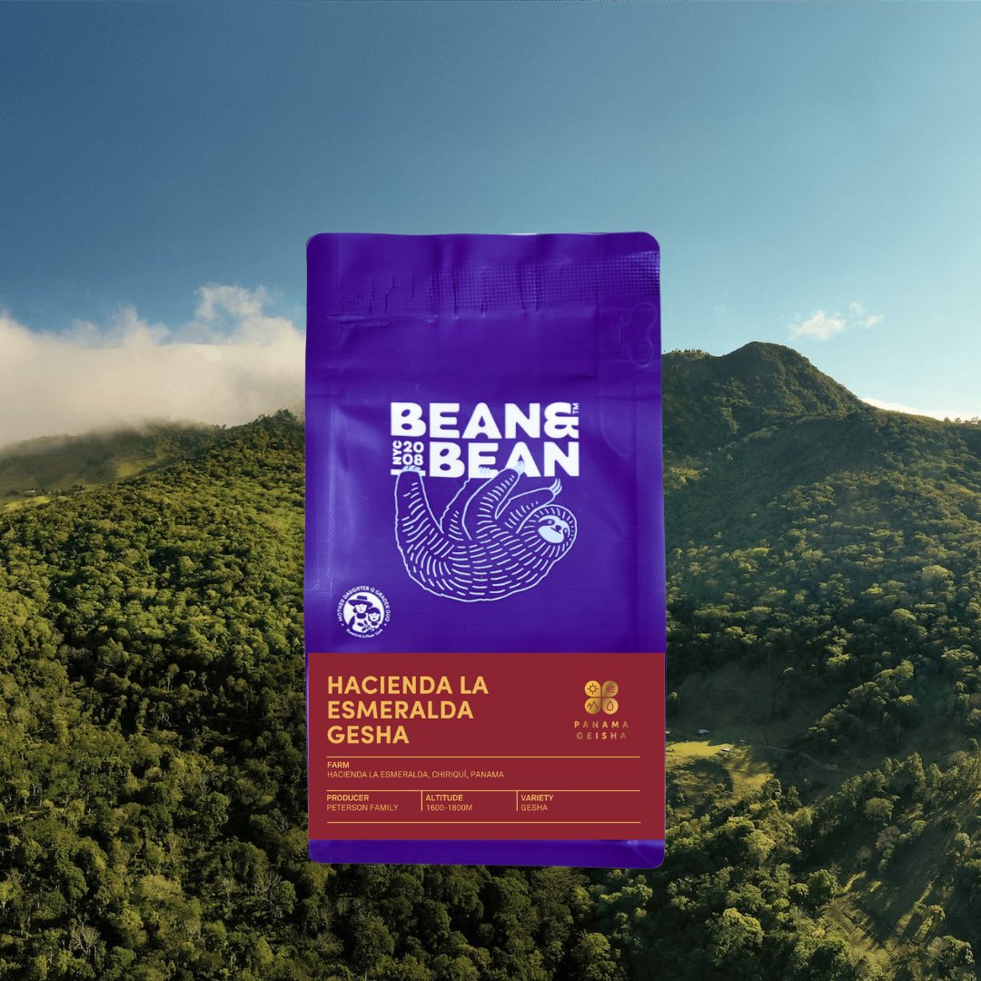 Panama Hacienda La Esmeralda Gesha Washed Montaña 6 FB [Score: 92.00]