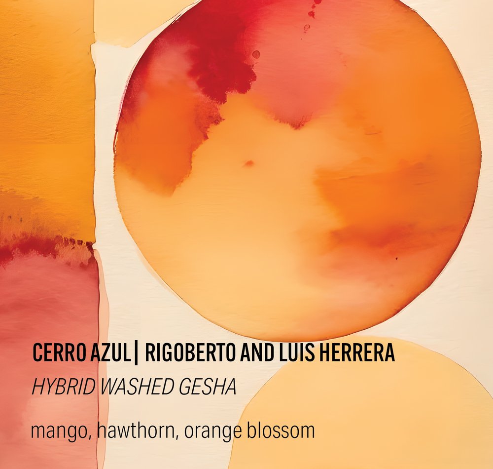 Cerro Azul Hybrid Washed Gesha - Colombia