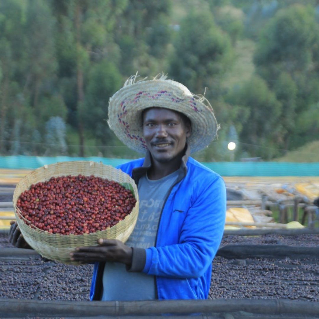 Ethiopia Benti Nenqa Washed