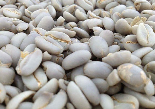 Sumatra Lintong Wet-hulled
