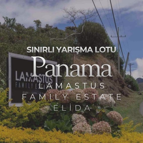 Panama Lamastus Family Elida Estate Falda Lot