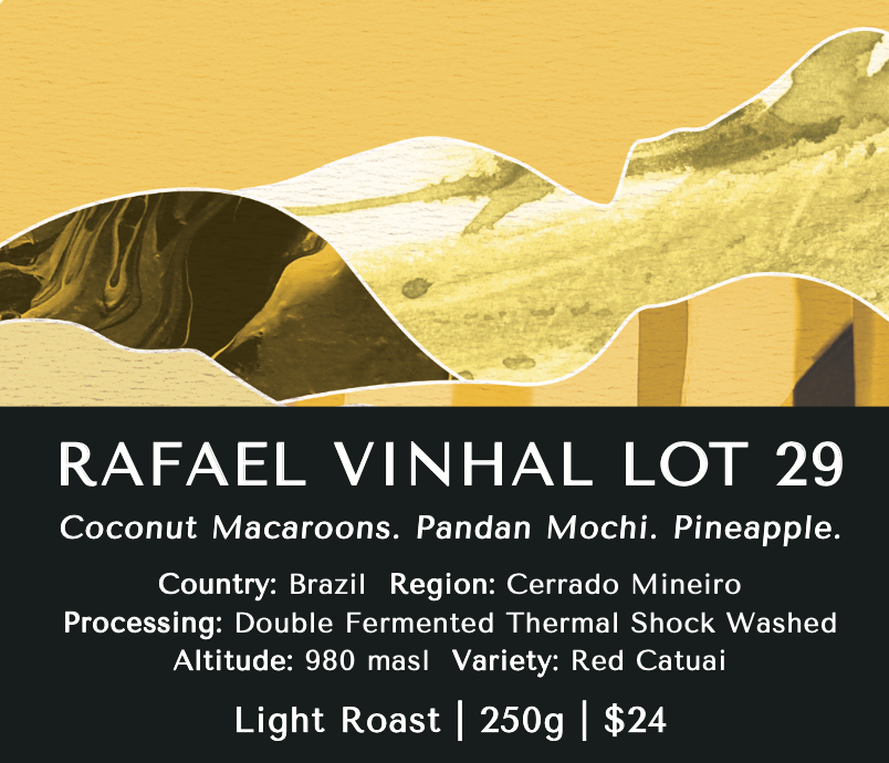 Rafael Vinhal Lot 29 (Washed) - Brazil