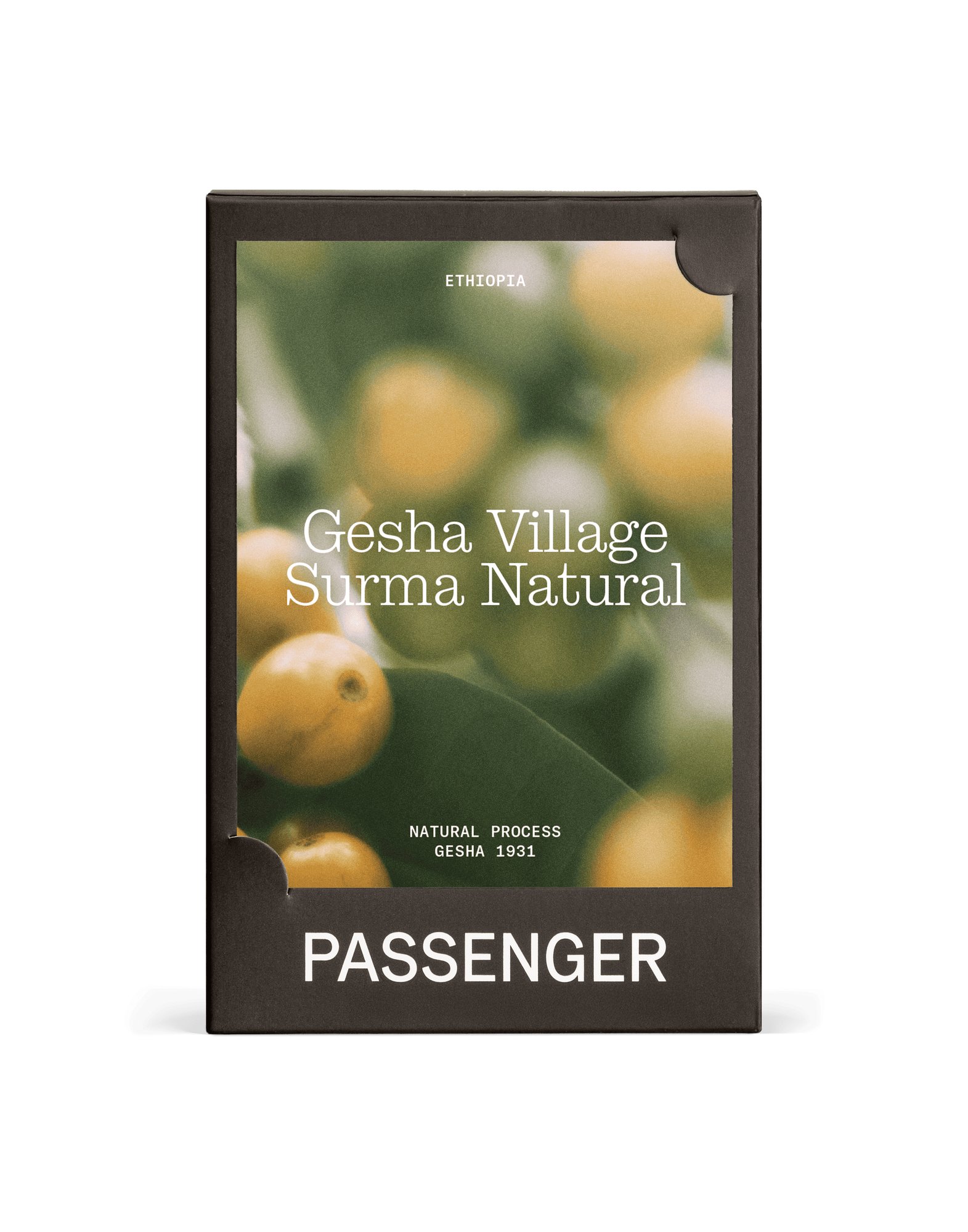 Gesha Village Surma - Natural Process - 2025