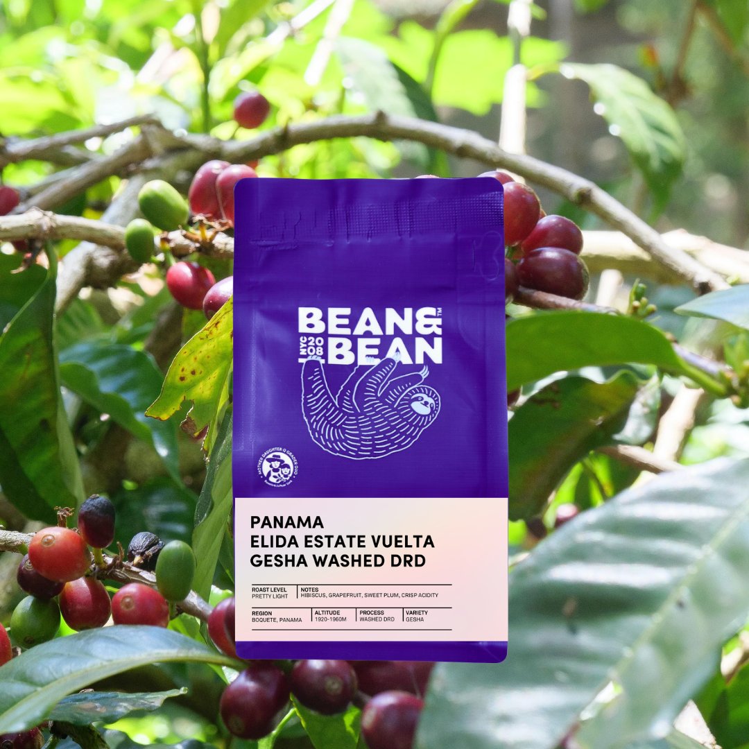 Panama Elida Estate Vuelta Gesha Washed DRD