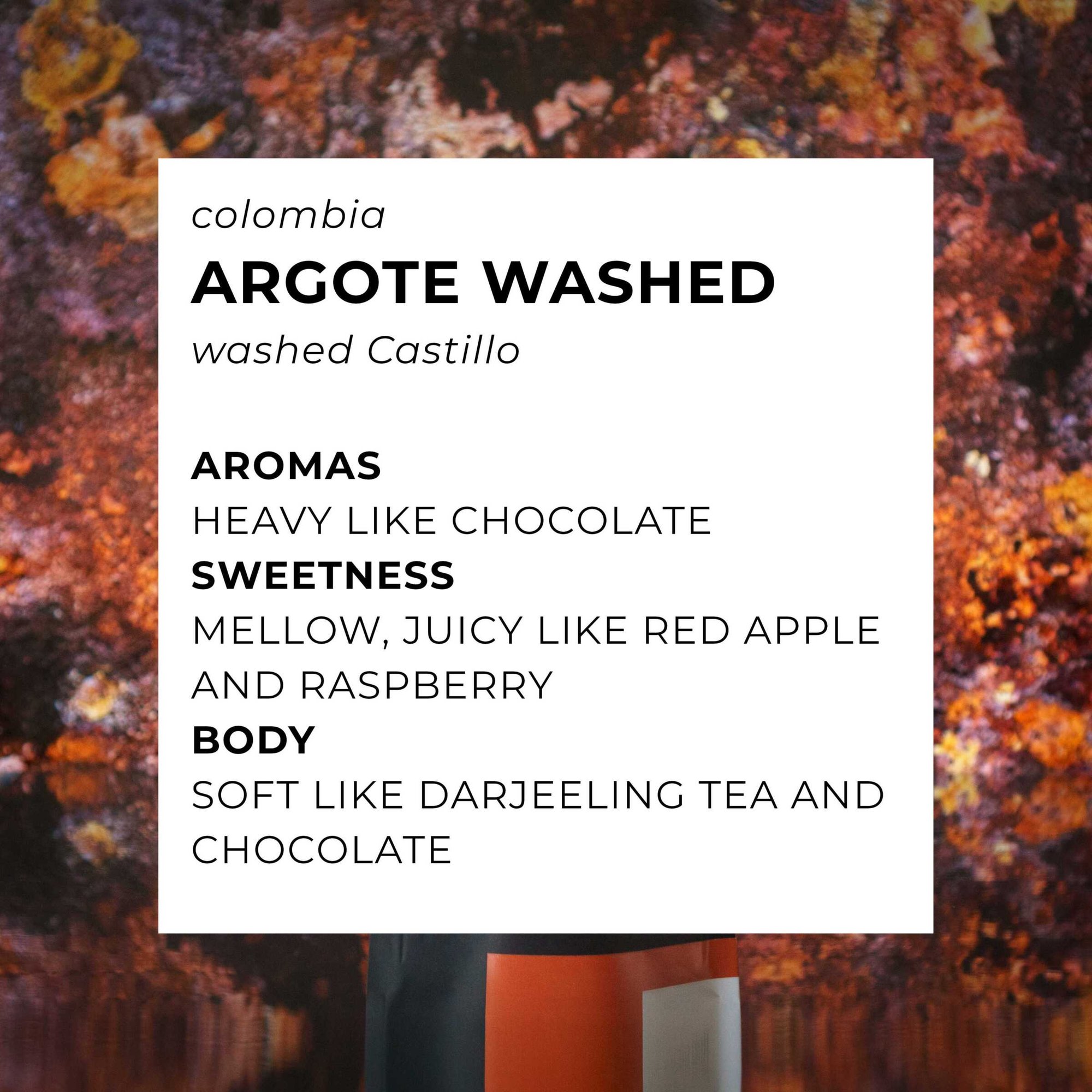 Argote Washed
