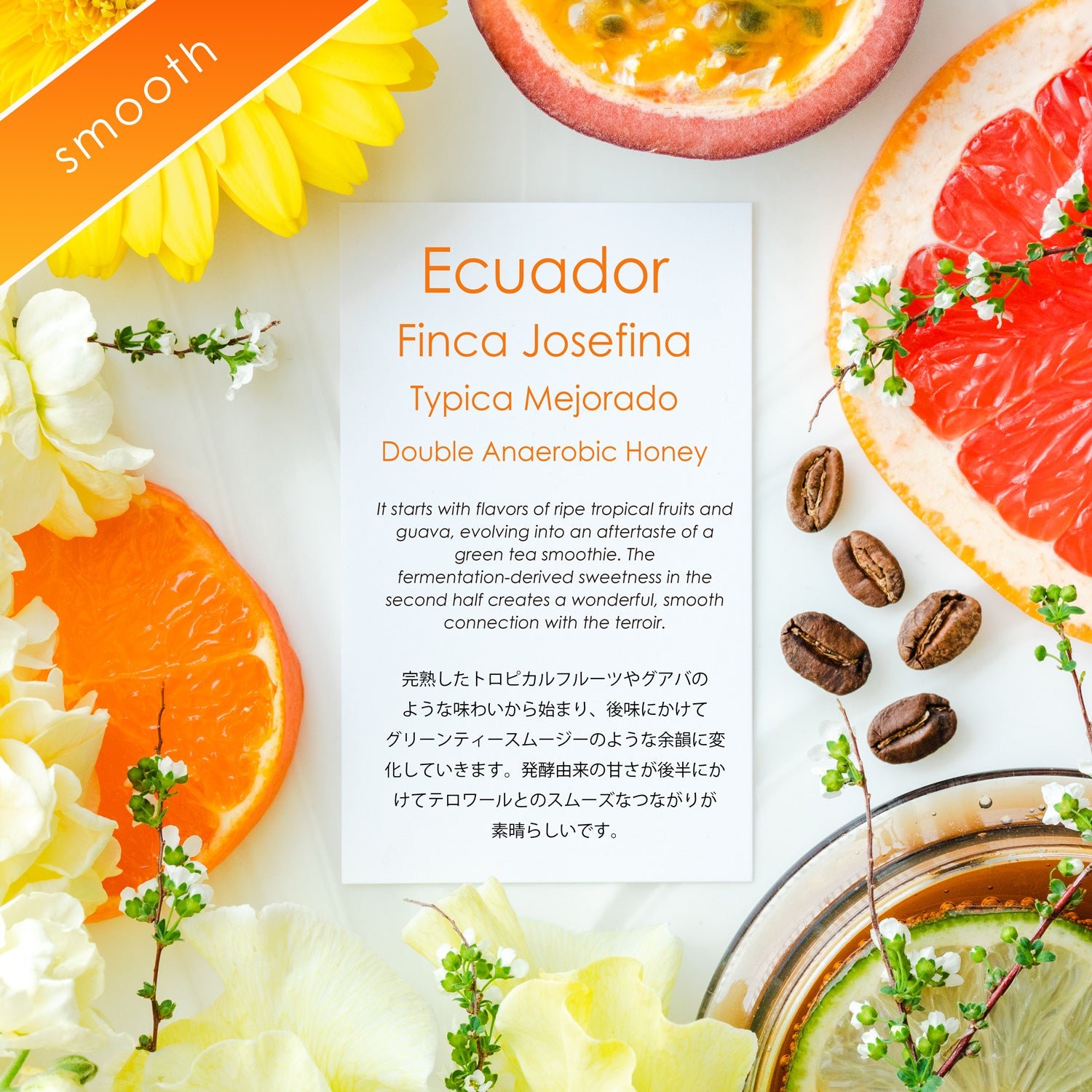Finca Josefina Typica Mejorado Double Anaerobic Honey