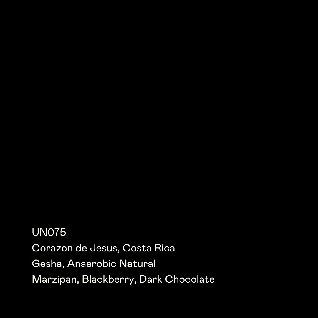 UN075 - Corazon de Jesus, Gesha Anaerobic Natural