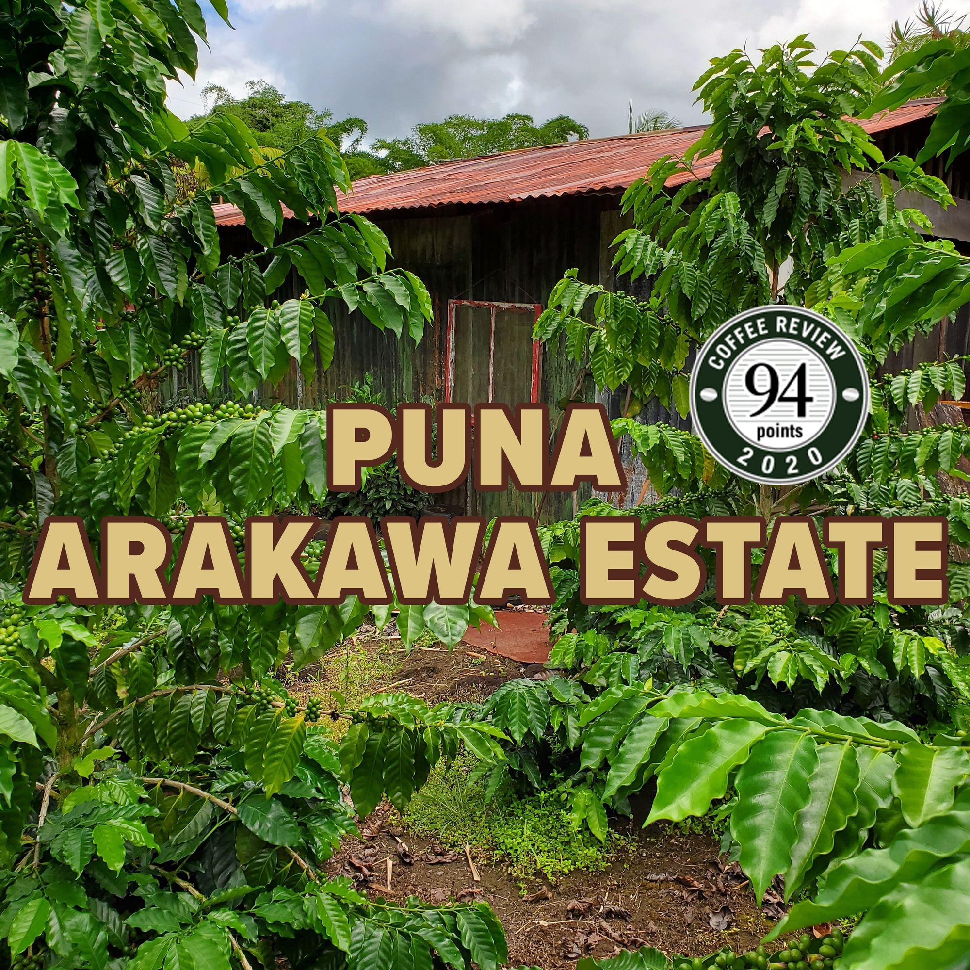 Hawaii Puna Anaerobic Washed