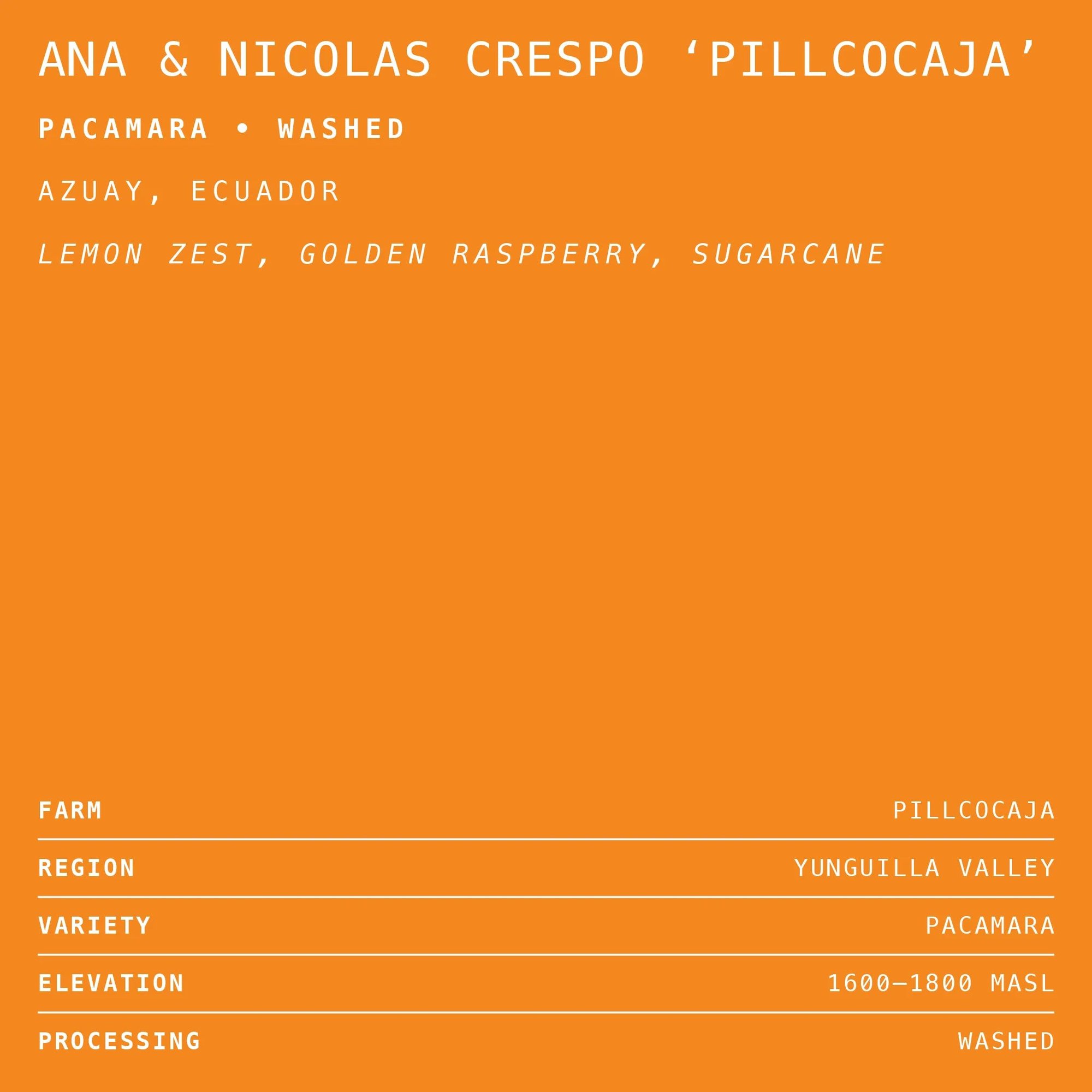 Ana & Nicolas Crespo 'Pillcocaja' Pacamara • Washed