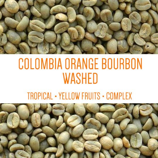 Colombia Orange Bourbon - GREEN BEANS