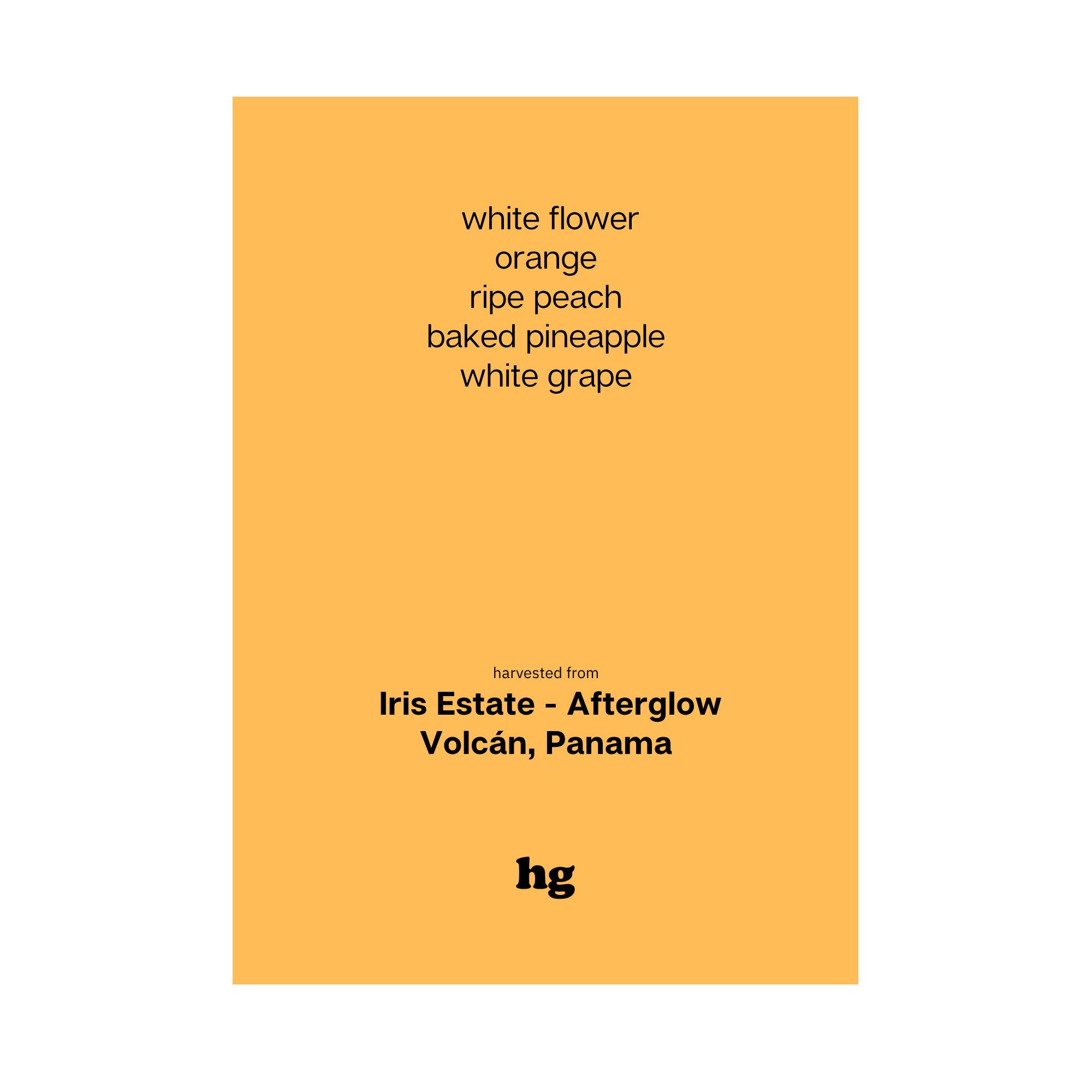 Iris Estate - Afterglow, Gesha, Natural, Panama (In-store)