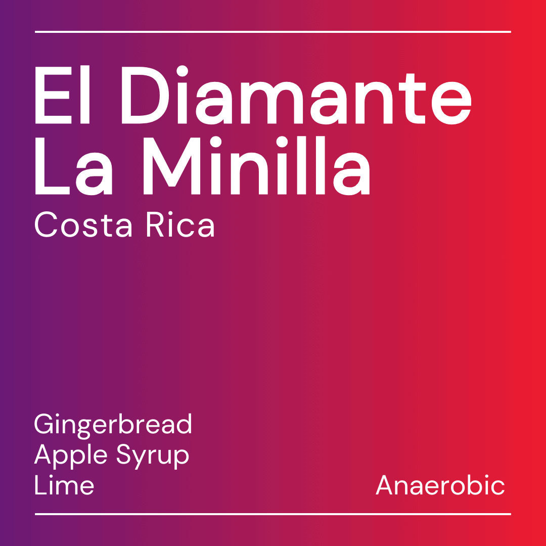 El Diamante La Minilla