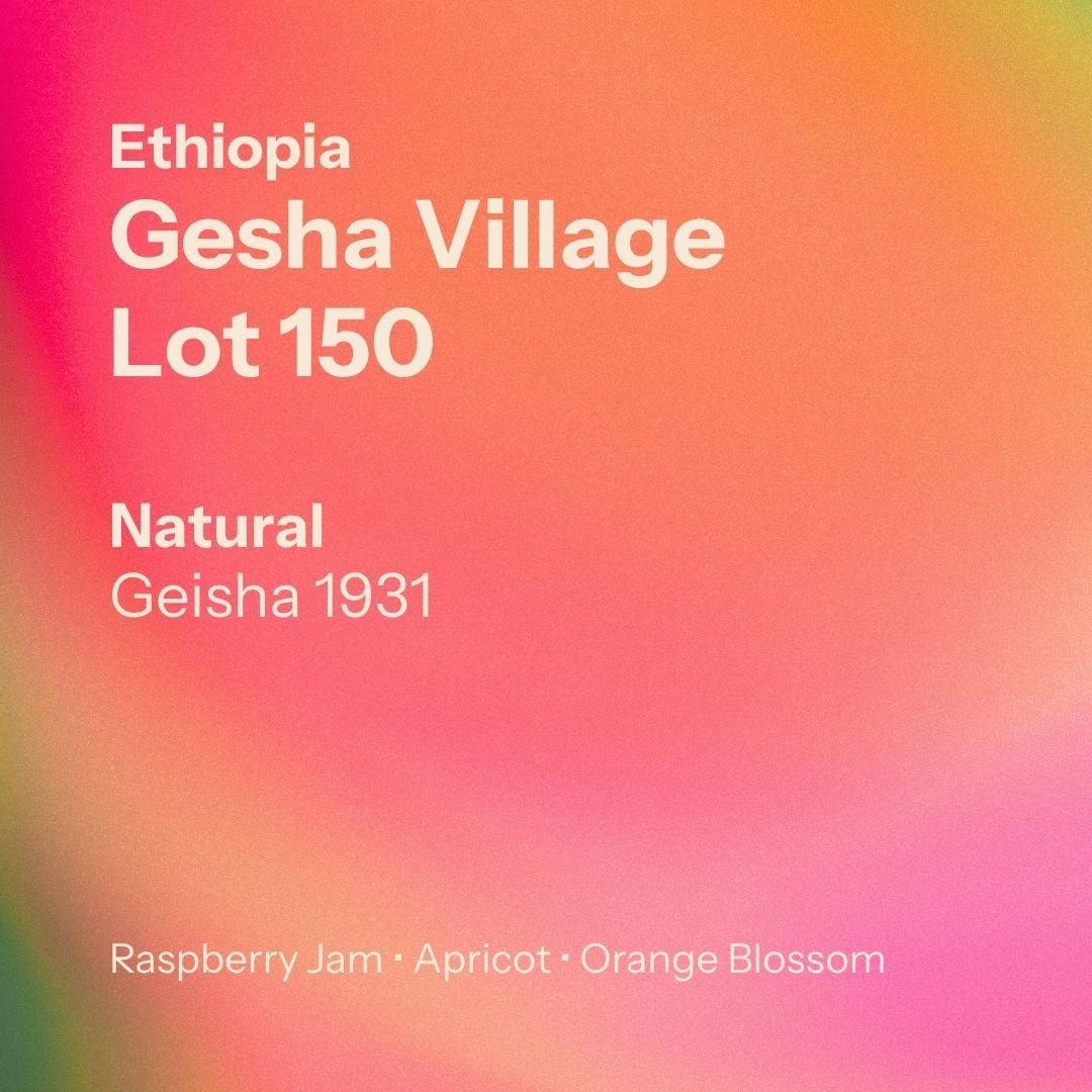 Gesha Village - Lot 150 - Natural Gesha 1931 (Ethiopia)