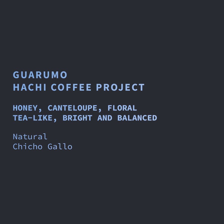 Panama Hachi Coffee Project Hatsuka 169 Natural Chicho Gallo