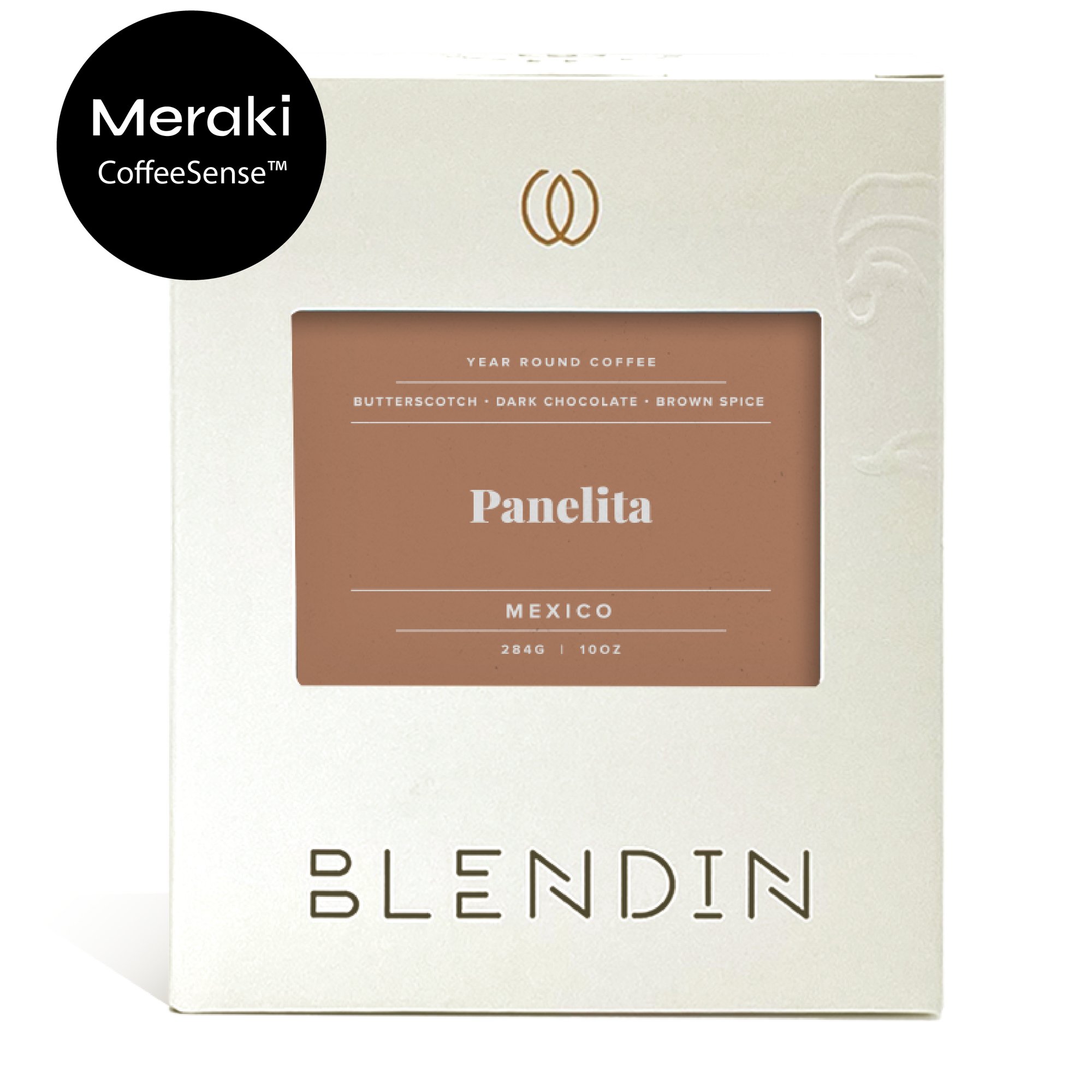 BlendIn x Meraki - Panelita