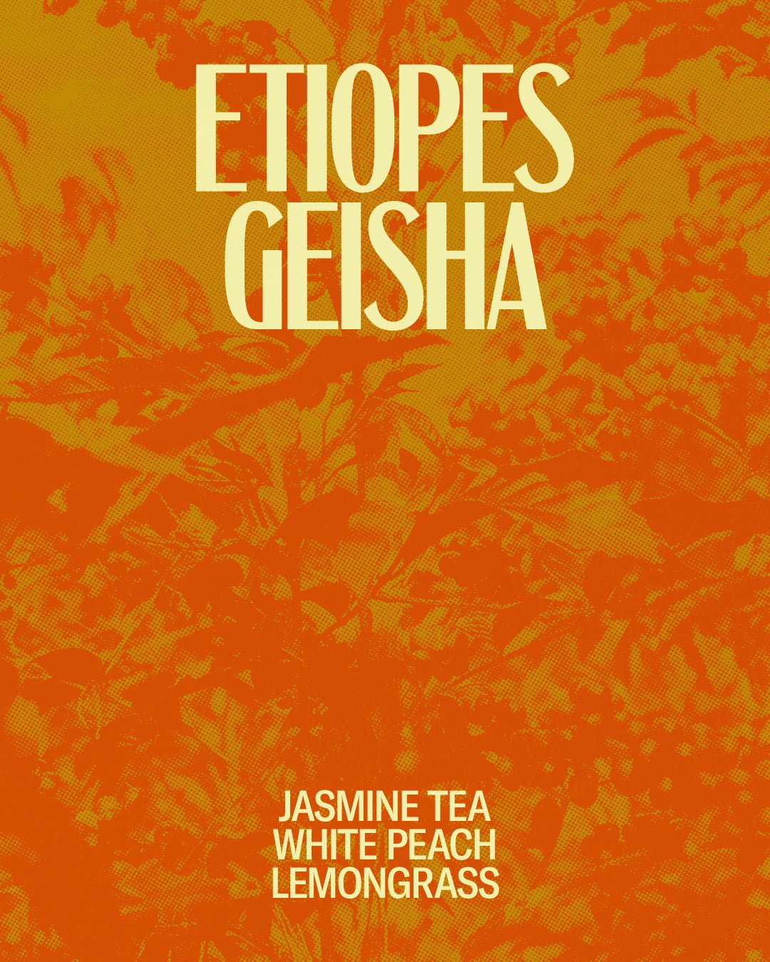 Etíopes Geisha