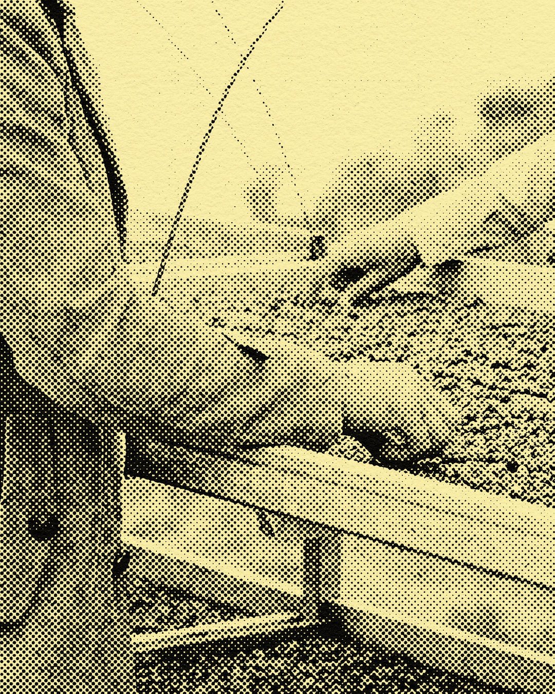 Cata de cafés de Yemen