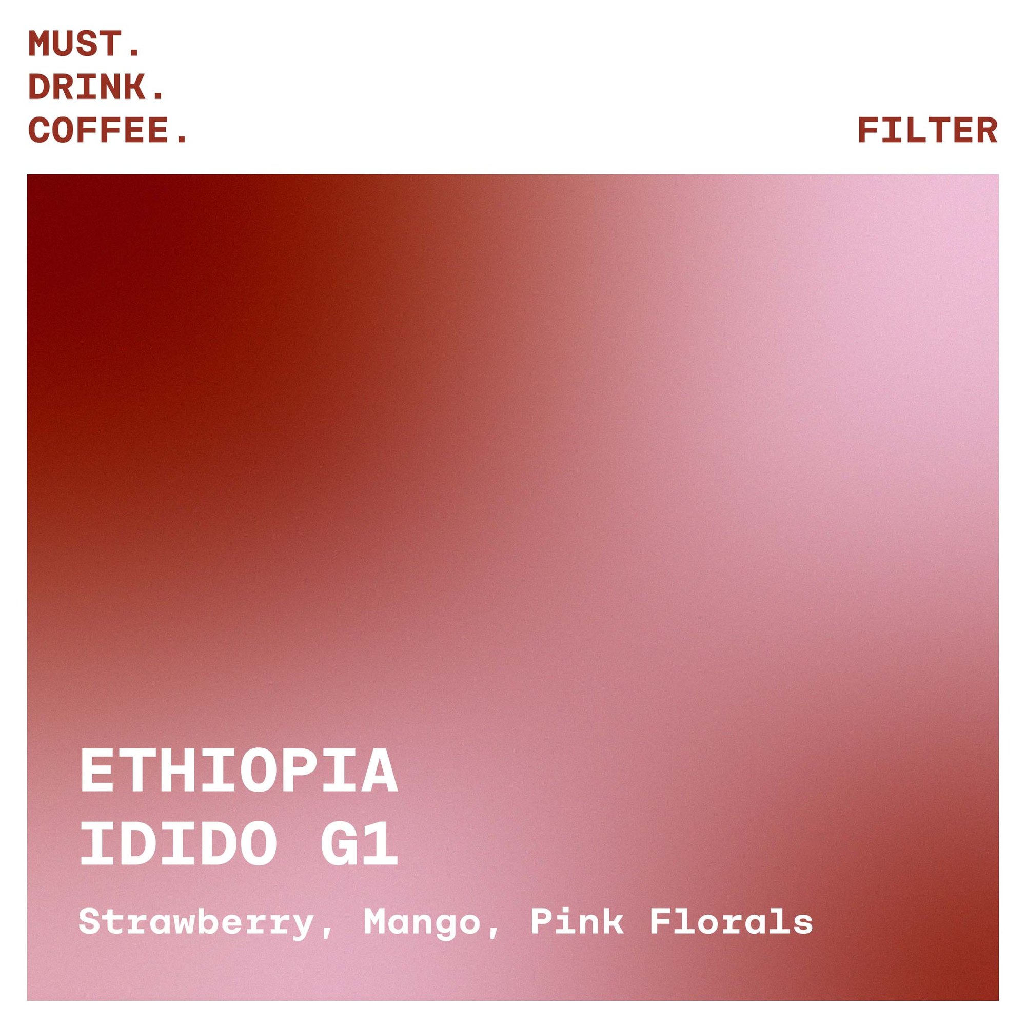 Ethiopia Idido G1 (Wholesale) - WT0