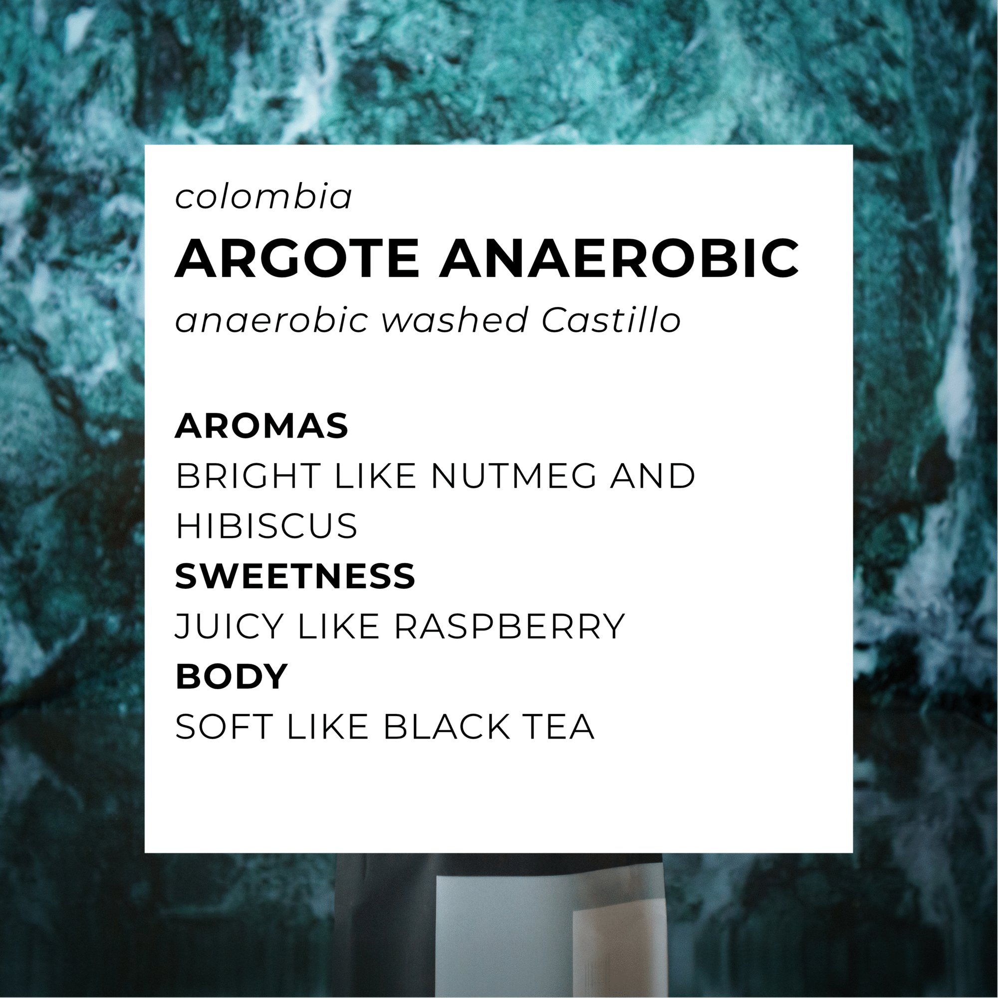 Argote Anaerobic