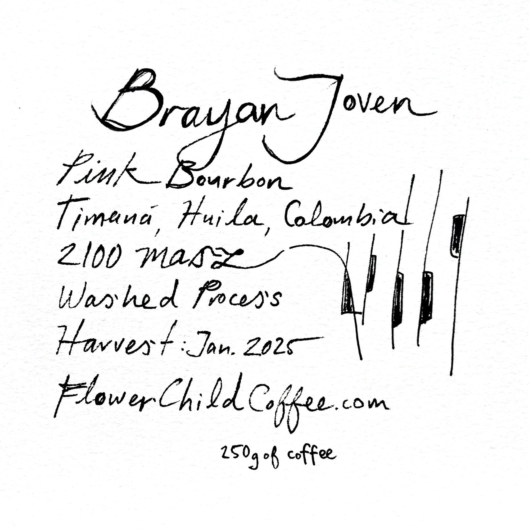 Brayan Joven