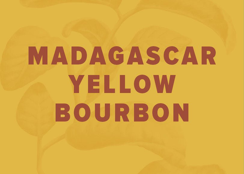 Madagascar Yellow Bourbon Natural