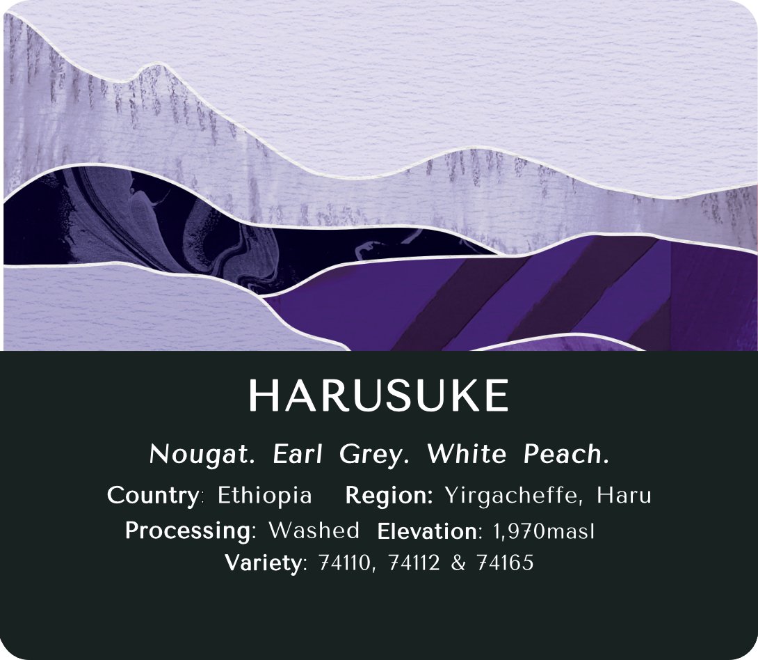 Yirgacheffe Harusuke (Washed) - Ethiopia
