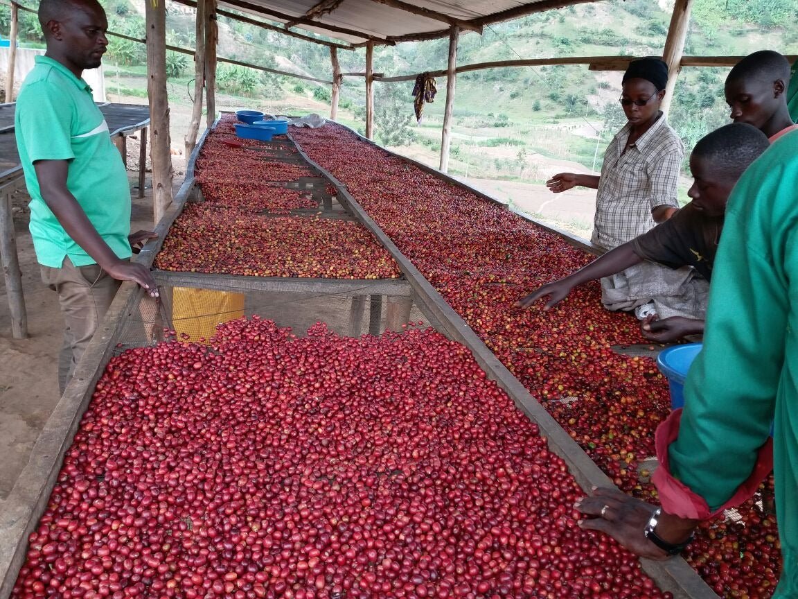 Burundi Gahahe Natural ESPRESSO