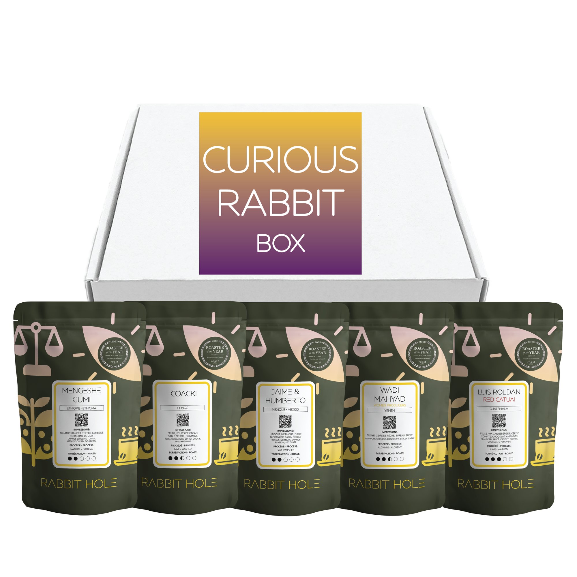 The Curious Rabbit Box