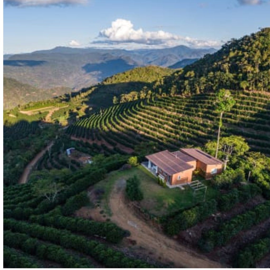 Bolivia Las Alasitas Coconatural Geisha