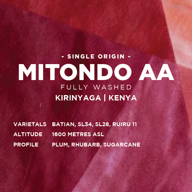 Kenya: Mitondo AA