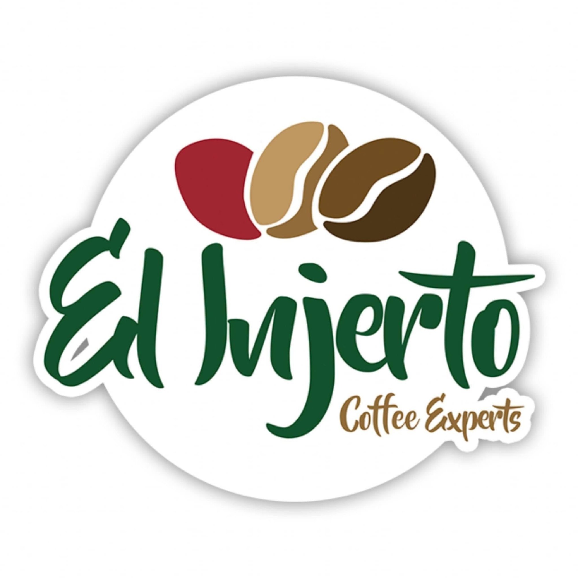 Guatemala El Injerto Geisha Los Nogales Auction Lot -Washed-Light Roast