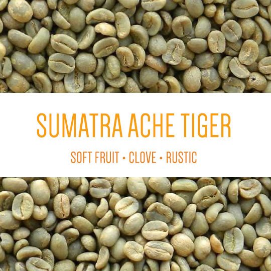Sumatra Ache DP Harimau Tiger Micro-lot (GREEN)