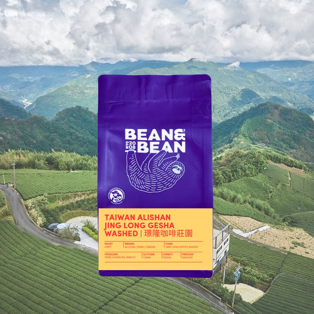 Taiwan Alishan Jing Long Gesha Washed 璟隆咖啡莊園