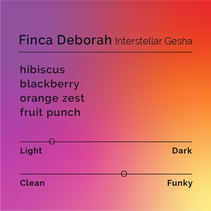 Finca Deborah - Interstellar Gesha