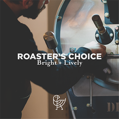 Roaster's Choice 2 x 8 oz Single Origin