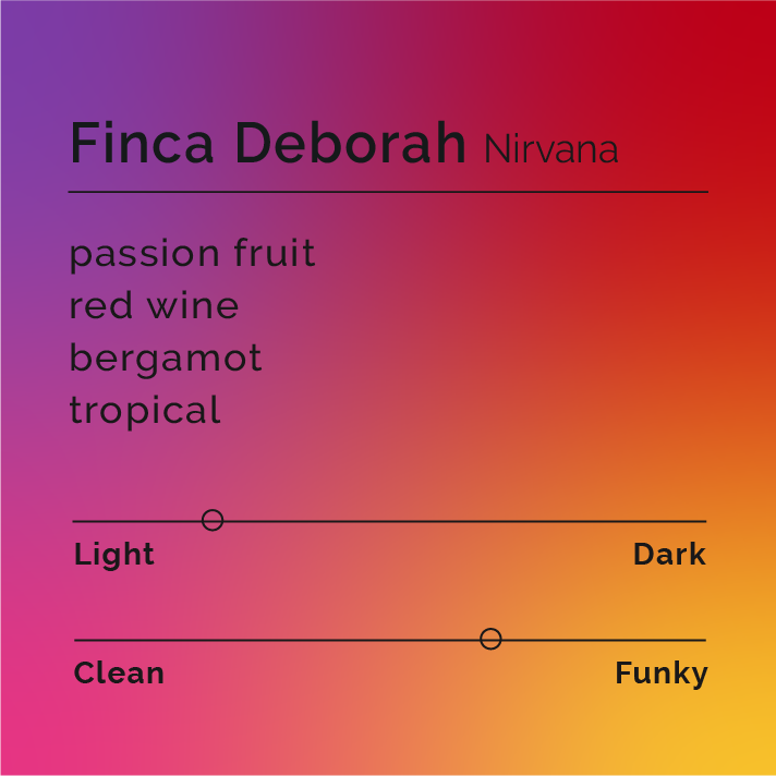 Finca Deborah - Nirvana