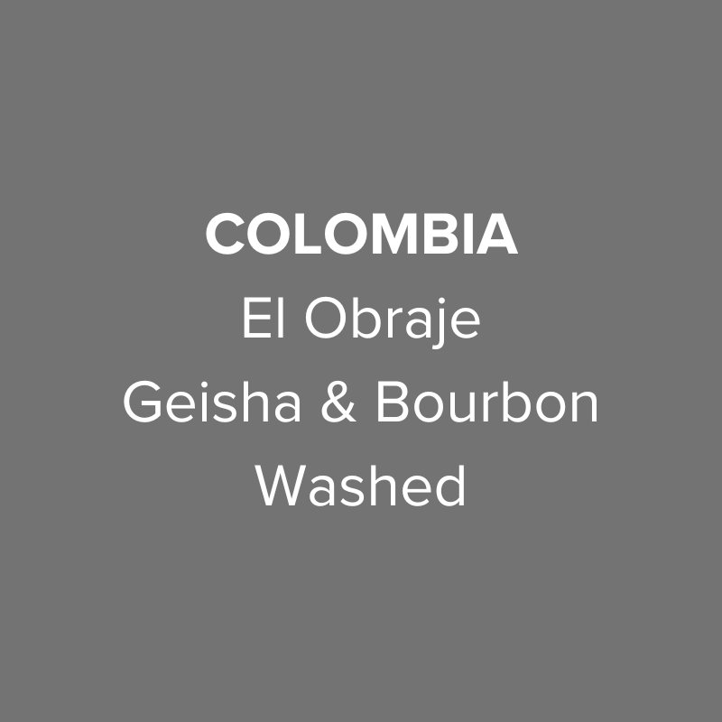 Colombia El Obraje Geisha & Bourbon Washed