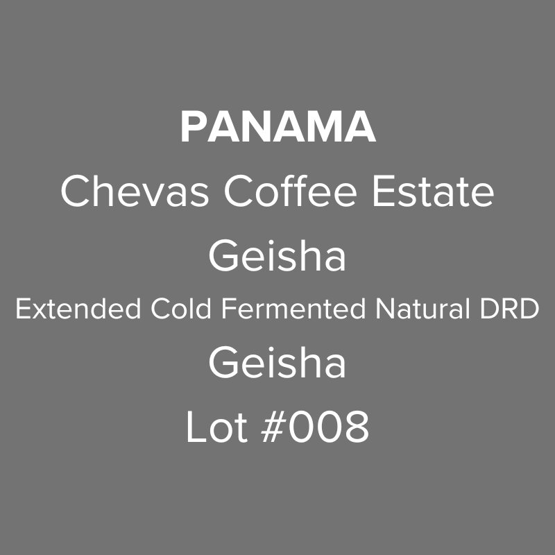 Panama Chevas Coffee Estate Geisha Extended Cold Fermented Natural Dark Room Drying Lot #008