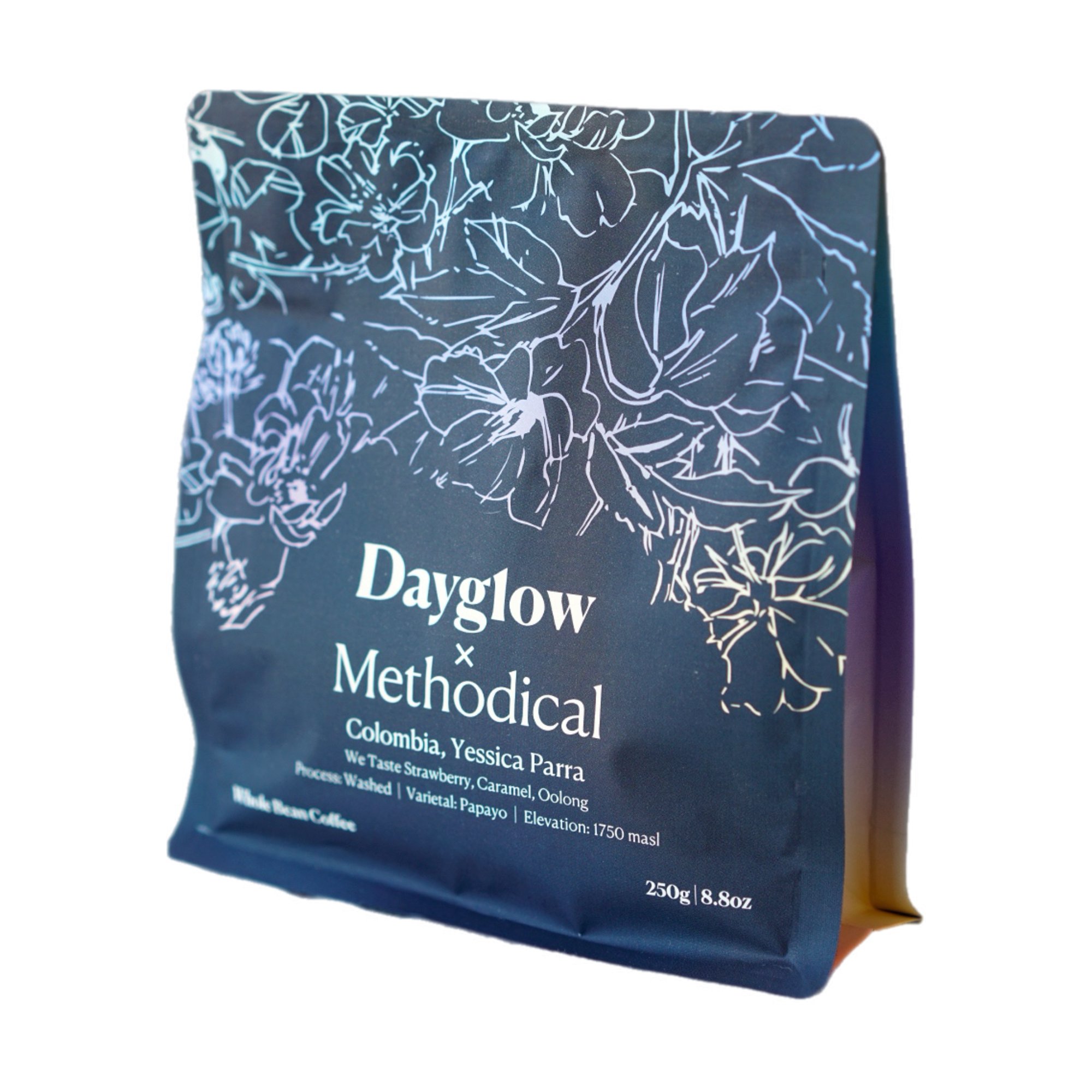 Methodical x Dayglow