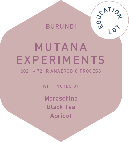 Mutana Experements - 72hr Anaerobic Process - Education Lot - 2021