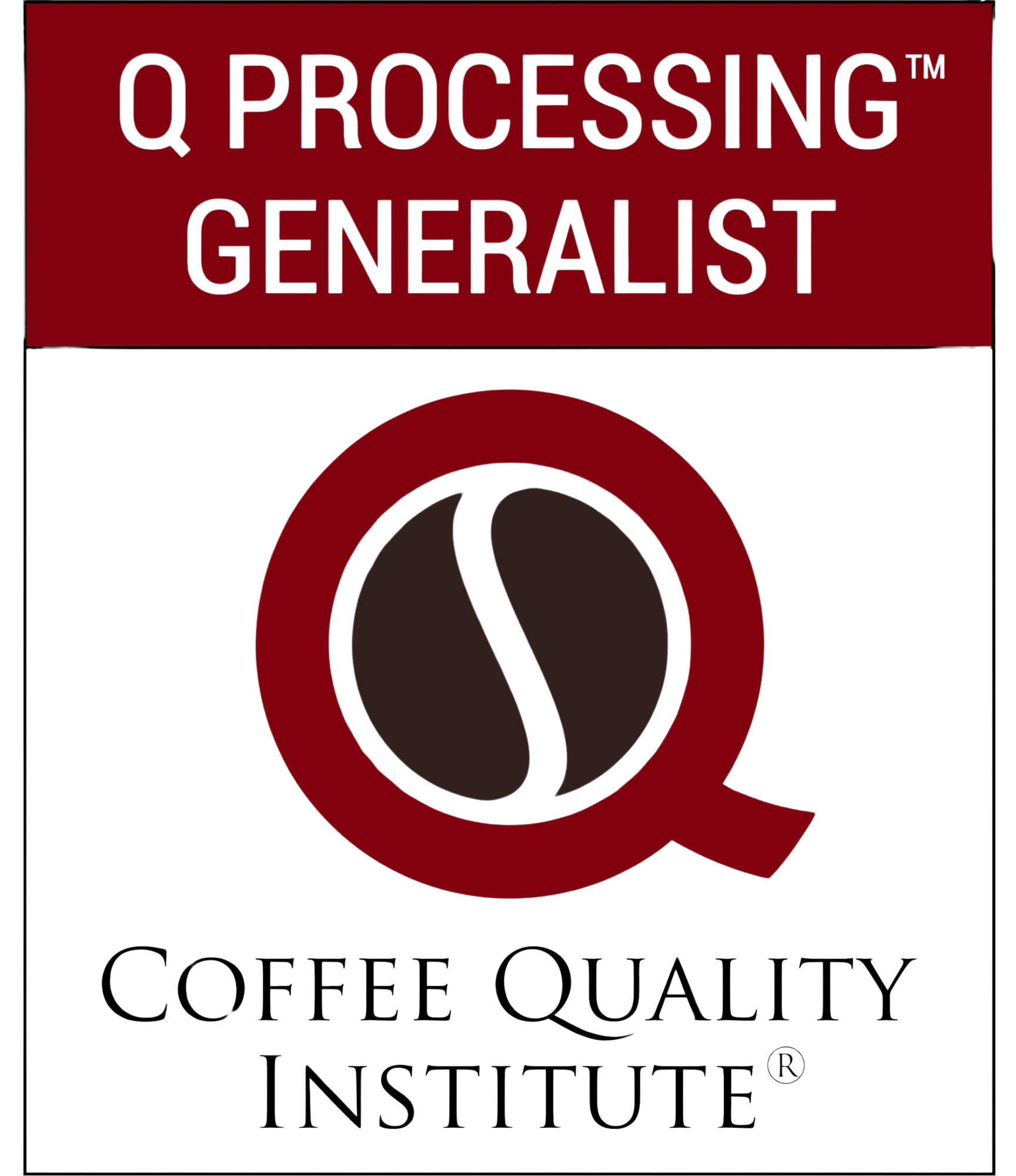 CQI - Q Processing Level 1: The Generalist