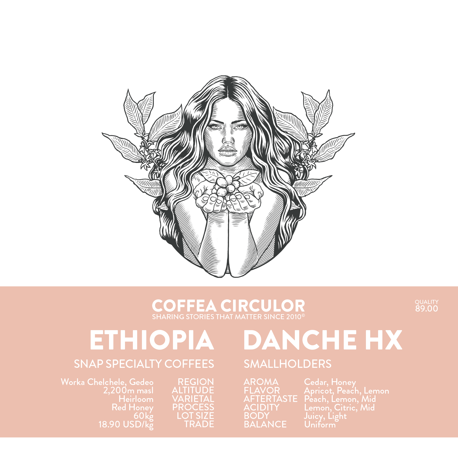 ETHIOPIA Danche Honey HX