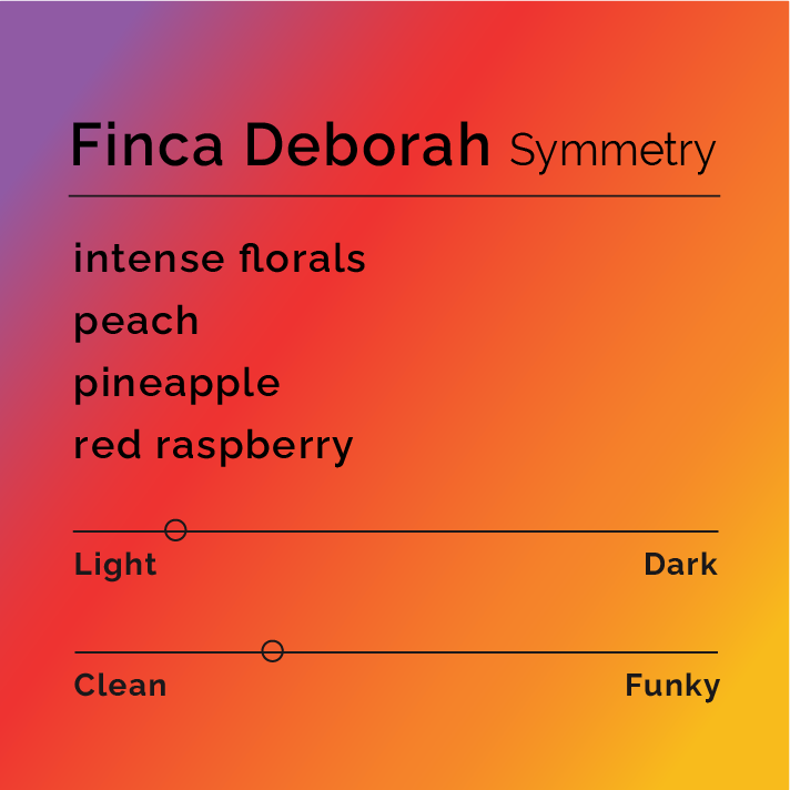 Finca Deborah Symmetry (Black Label)